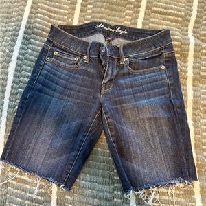 American Eagle Outfitters Blue Jean Shorts